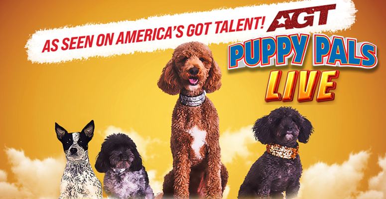 Puppy Pals LIVE!